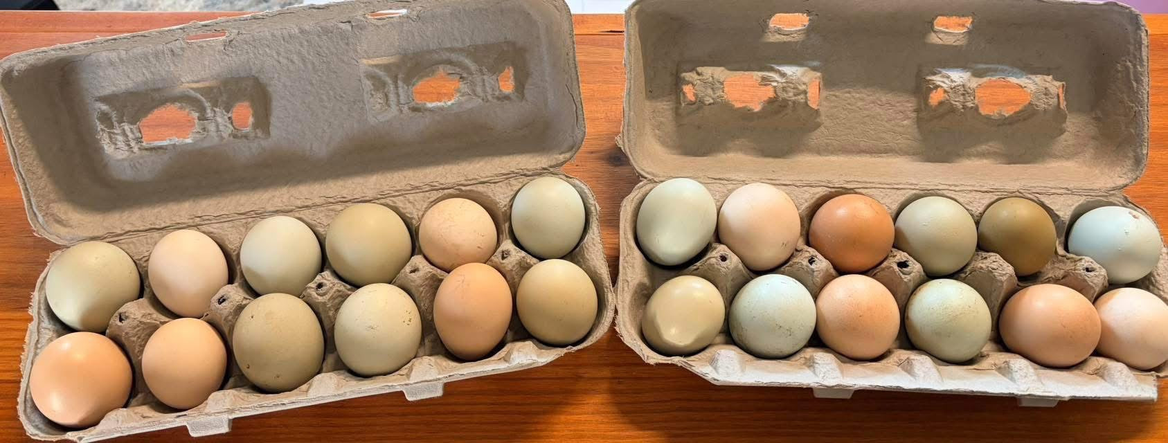 Farm Fresh Eggs