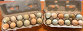 Farm Fresh Eggs